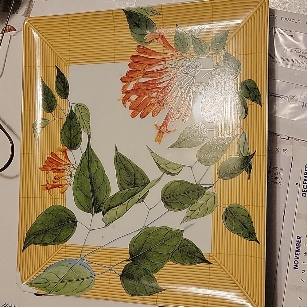 Bernardaud Jardin  in d in rectangular tray